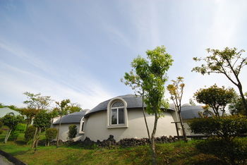 ASO Farm Land 3*