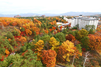 Hotel New Koyo 2*