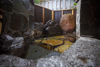 Yufuin Ryokan Nogiku 3*