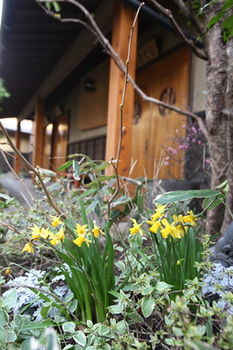 Yufuin Ryokan Nogiku 3*