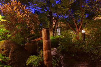 Yufuin Ryokan Nogiku 3*