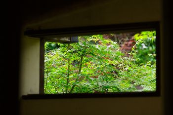 Yufuin Ryokan Nogiku 3*