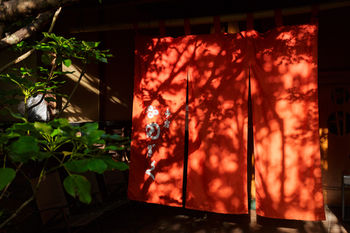 Yufuin Ryokan Nogiku 3*