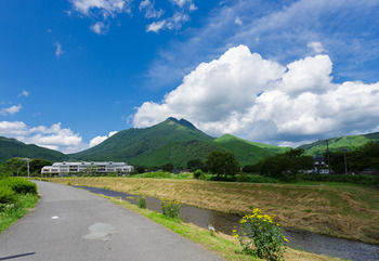 Yufuin Ryokan Nogiku 3*