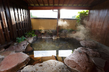 Yufuin Ryokan Nogiku 3*