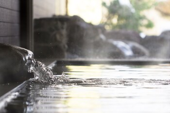 Small Auberge & Hot Spring Spa Sakuragaike Kuagarden 3*