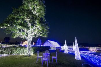 Shirahama Coganoi Resort&Spa 4*