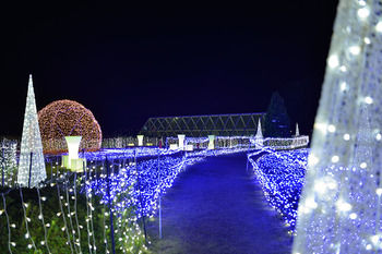 Shirahama Coganoi Resort&Spa 4*