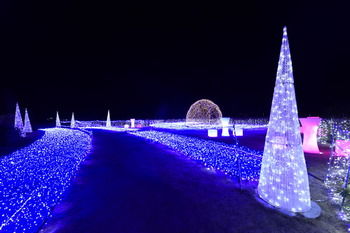 Shirahama Coganoi Resort&Spa 4*