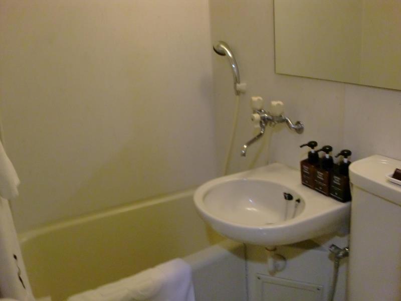 Green Rich Hotel Suizenji 3*