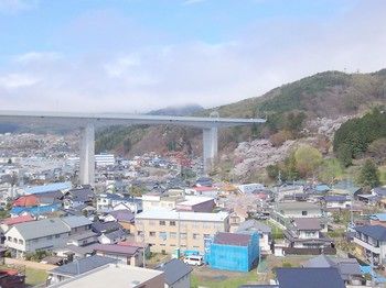 Okaya Central Hotel 3*