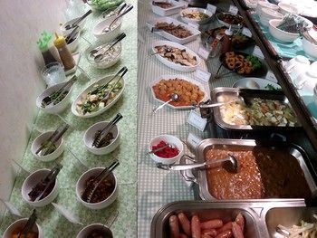 Okaya Central Hotel 3*