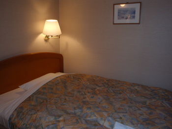 Hotel Crown Hills Okaya 3*