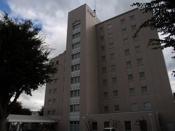 Hotel Crown Hills Okaya 3*