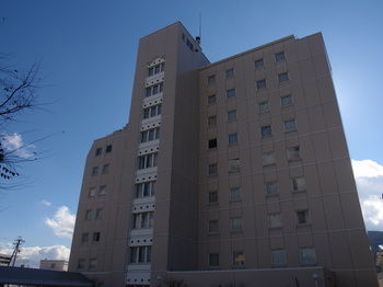 Hotel Crown Hills Okaya 3*