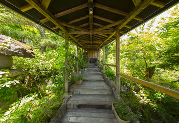 Ryokan Nobiru Sansou 3*