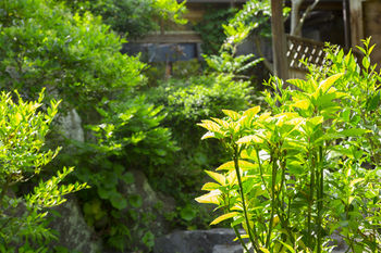 Ryokan Nobiru Sansou 3*