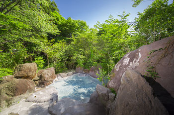 Ryokan Nobiru Sansou 3*