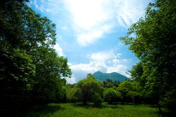 Yufuin Tsukahara Kogen Sanso Donguri 2*