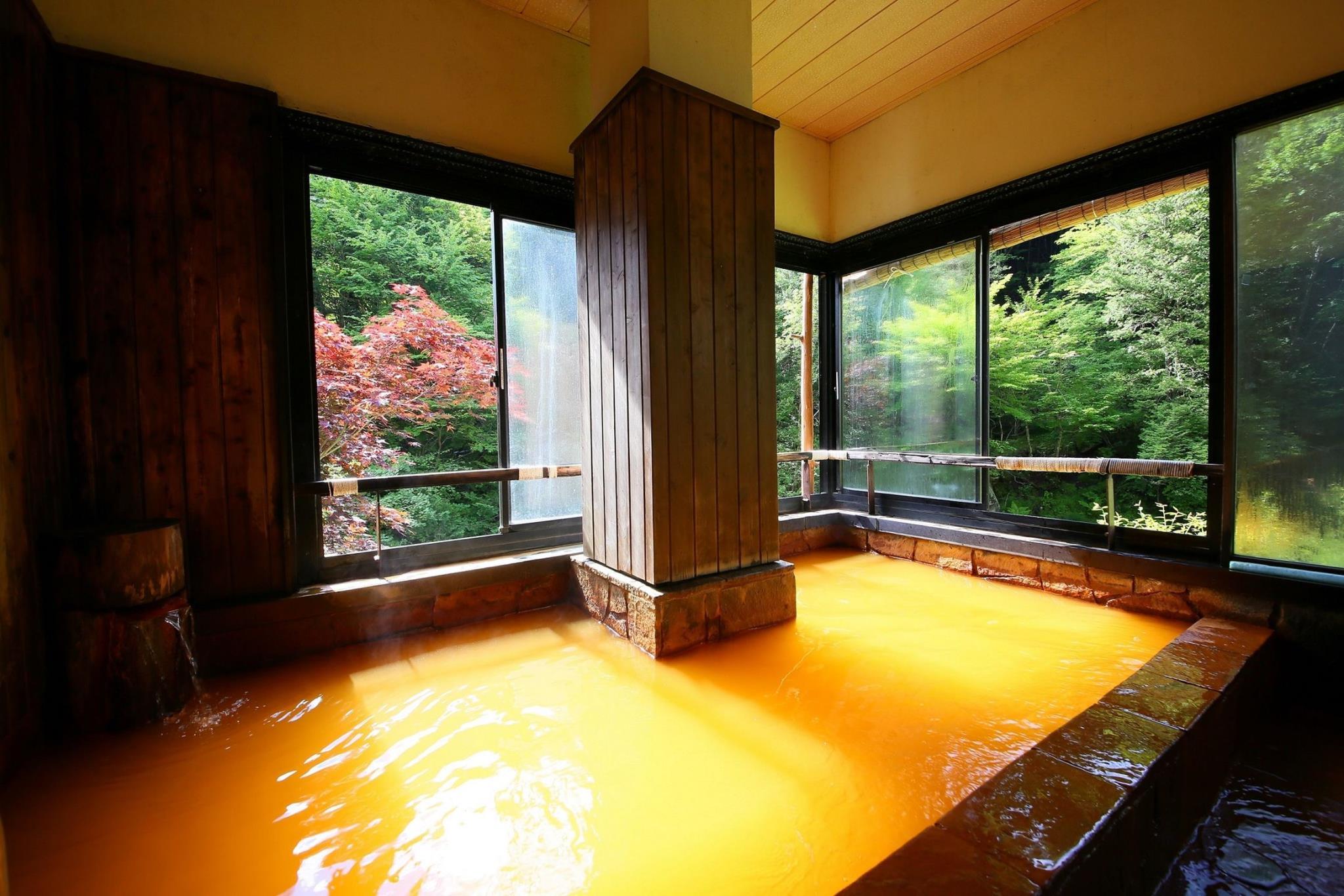 Meiji Onsen Ryokan 3*