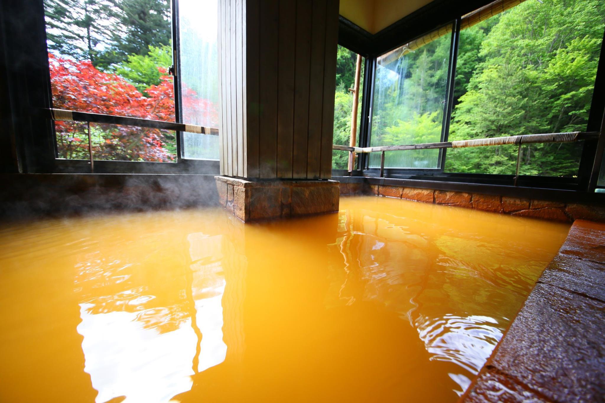 Meiji Onsen Ryokan 3*