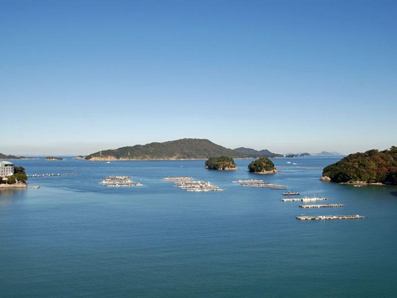 Wan Wan Paradise Toba 3*