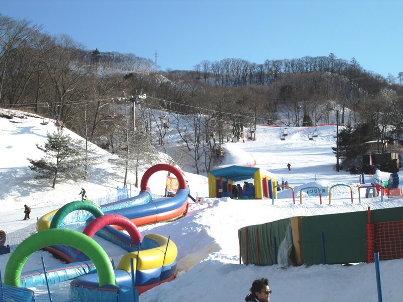 Hotel Petit Riviere Karuizawa 3*