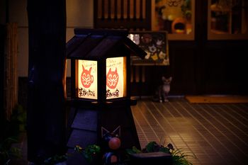 Yufuin Waraneko no Yado 3*