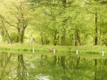 HOSHINOYA Karuizawa 0*
