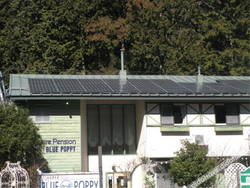 Pension Blue Poppy 0*