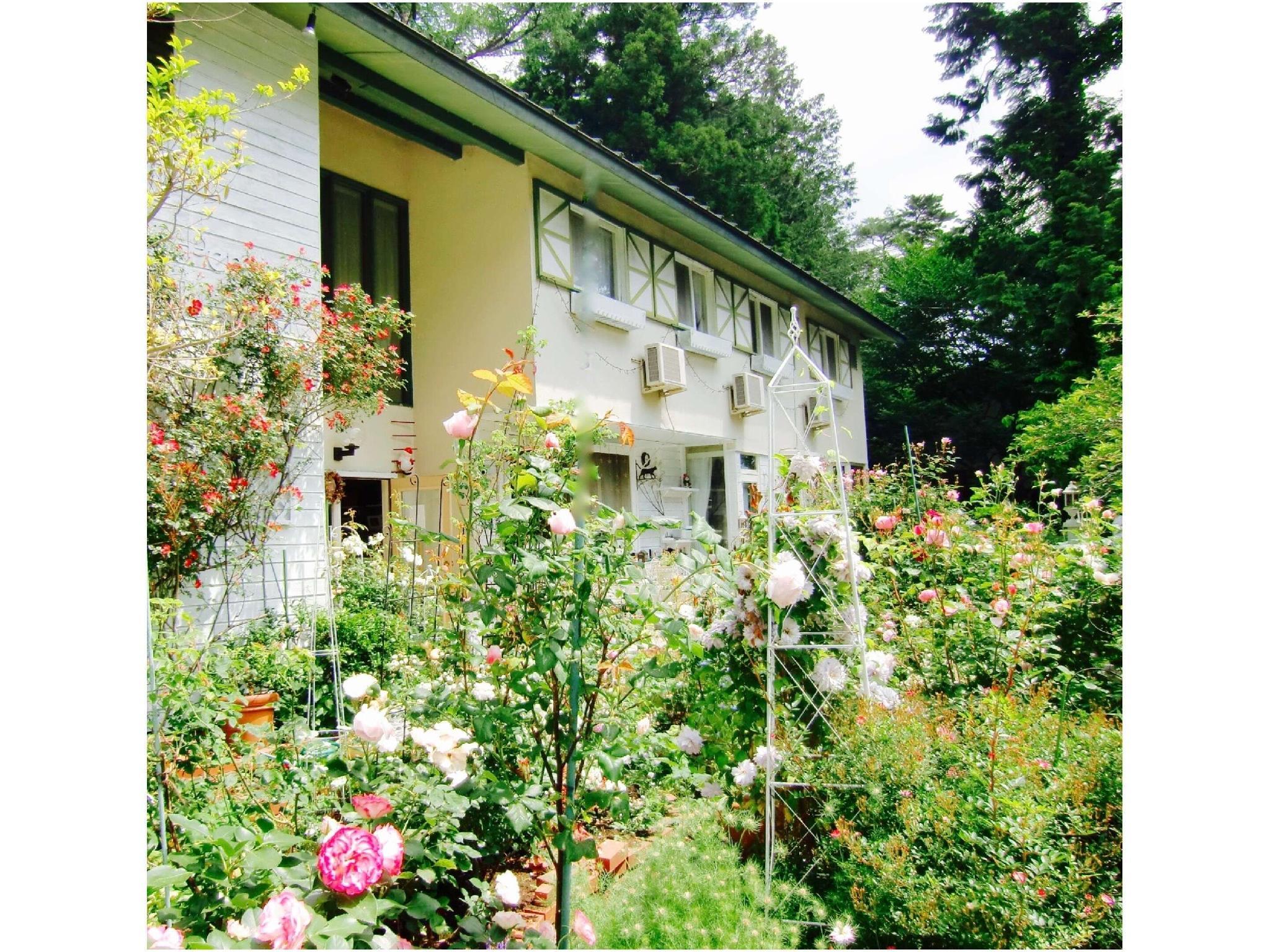 Pension Blue Poppy 0*