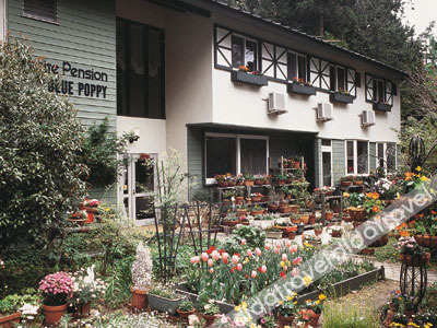 Pension Blue Poppy 0*