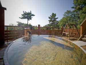 Hishino Onsen Tokiwakan 3*