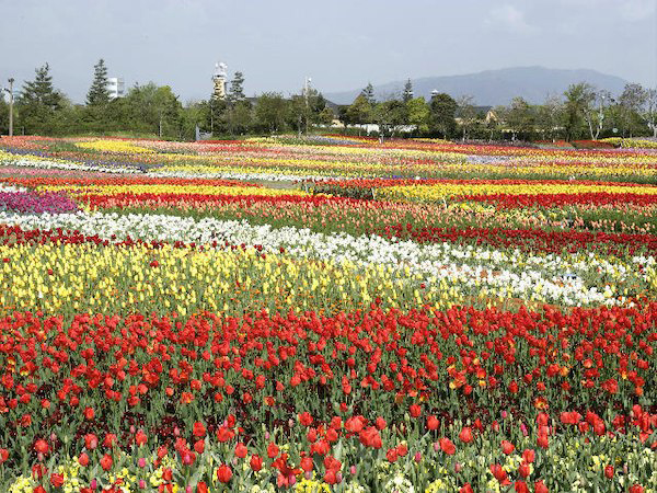 Kuwana Park Hotel 2*