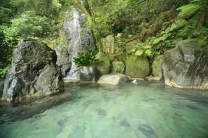 Yugawara Onsen Seiranso 1*