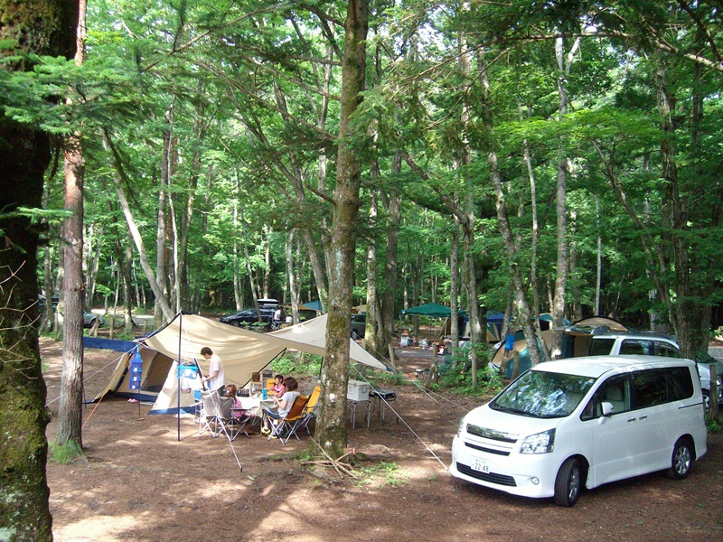 PICA FUJIYOSHIDA - Campsite 2*