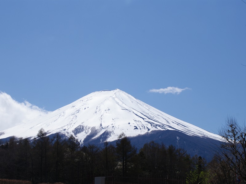 PICA FUJIYOSHIDA - Campsite 2*