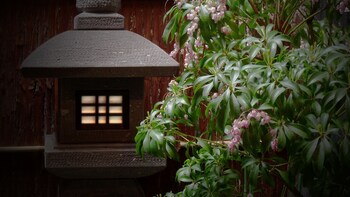 Machiya Kaemon Kyoto-sta. 3*