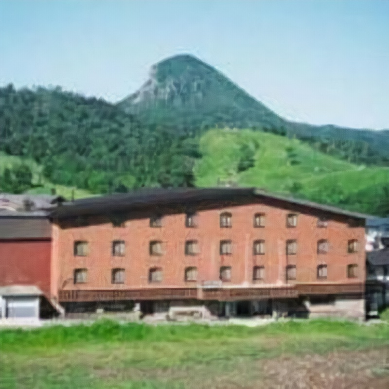 Suzurikawa Hotel 3*