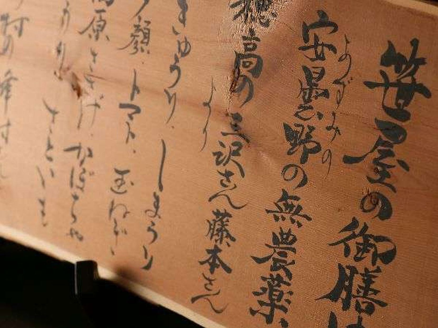 Shirokotsu Onsen Korinoyu-Sasaya 3*