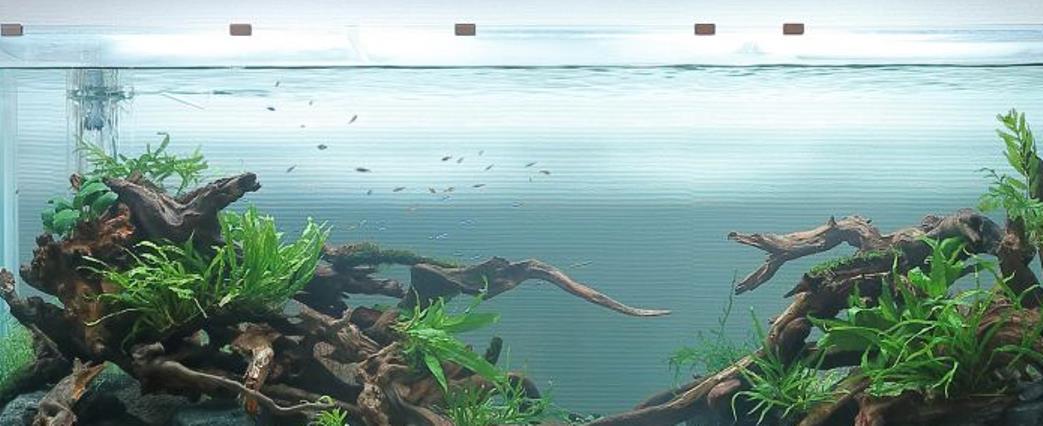 Amistad Hotel 3*
