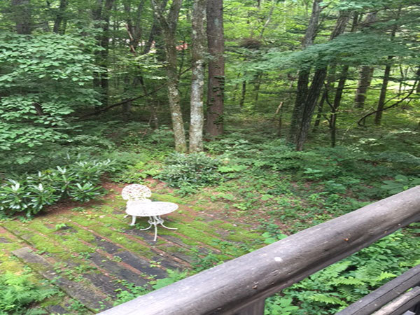 Asama Kogen Hotel 3*