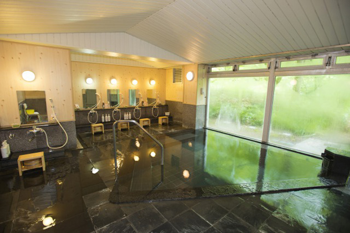 Hotel Shimeikan 2*