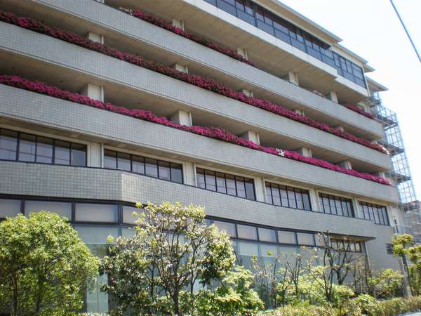 Awara Onsen Seifuso 3*