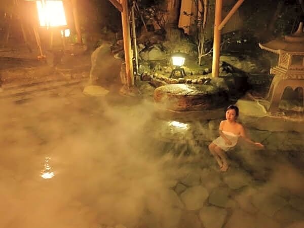 Awara Onsen Seifuso 3*