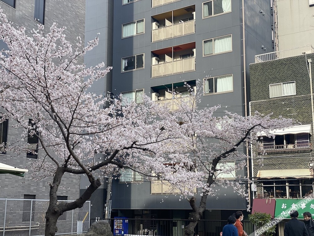 HOTEL ffosaka.com 0*