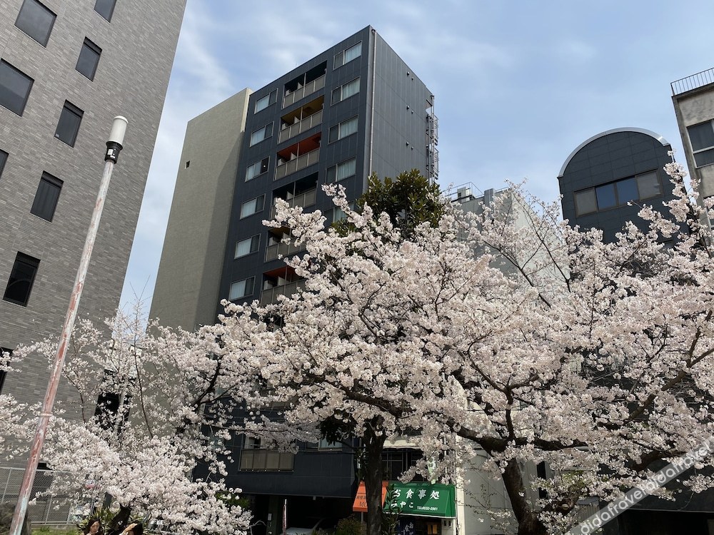 HOTEL ffosaka.com 0*