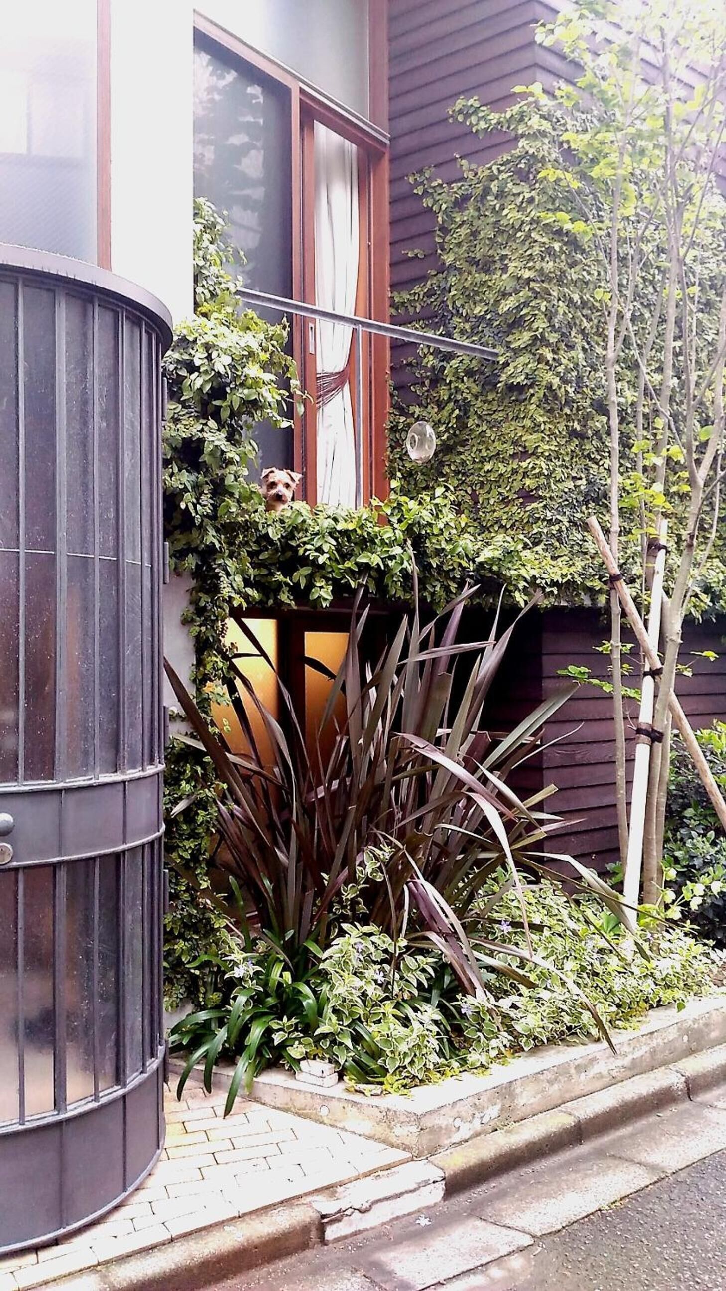 Sango Katase Guest Rooms 3*