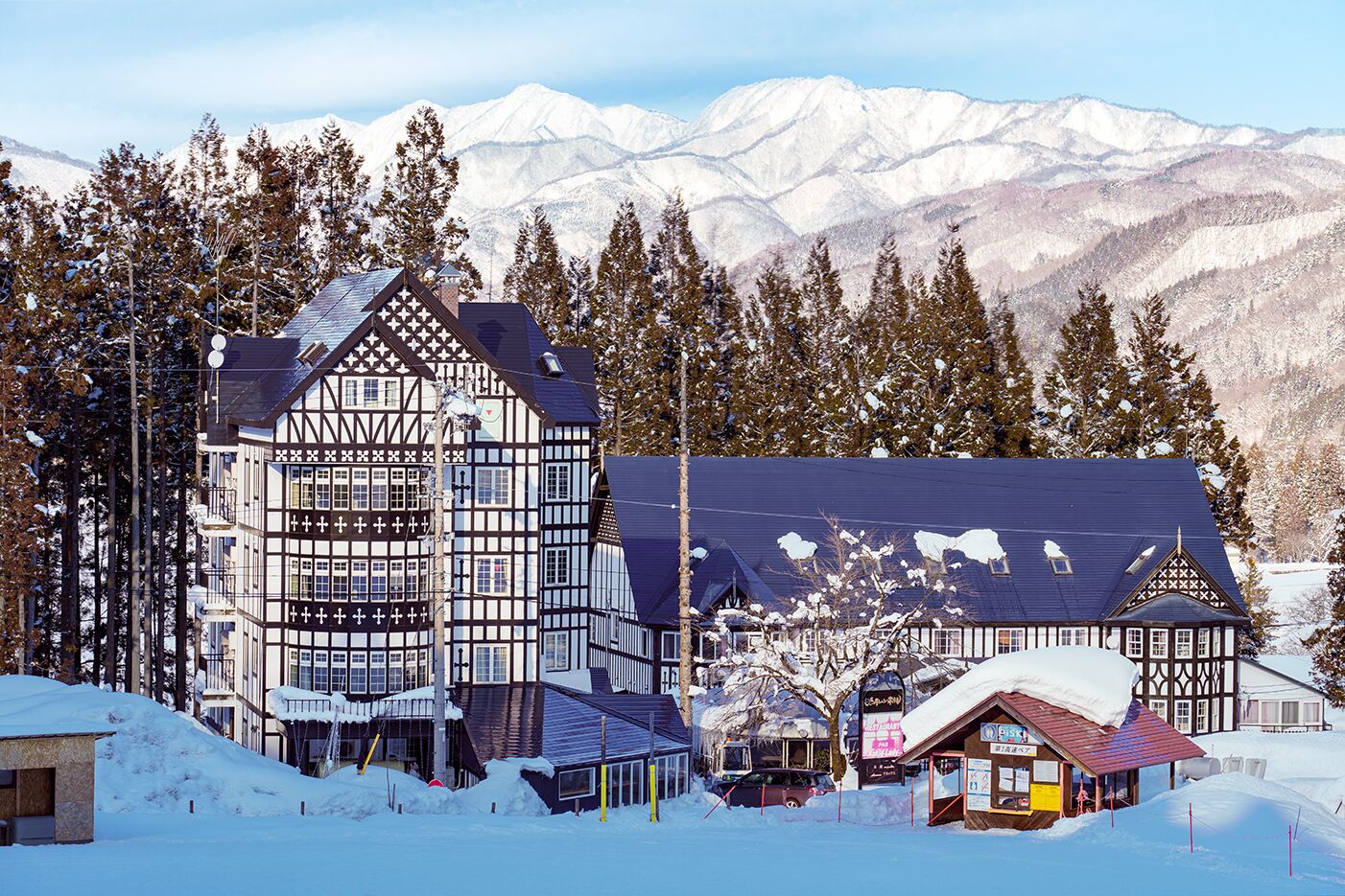 Hakuba Sunvalley Hotel 3*