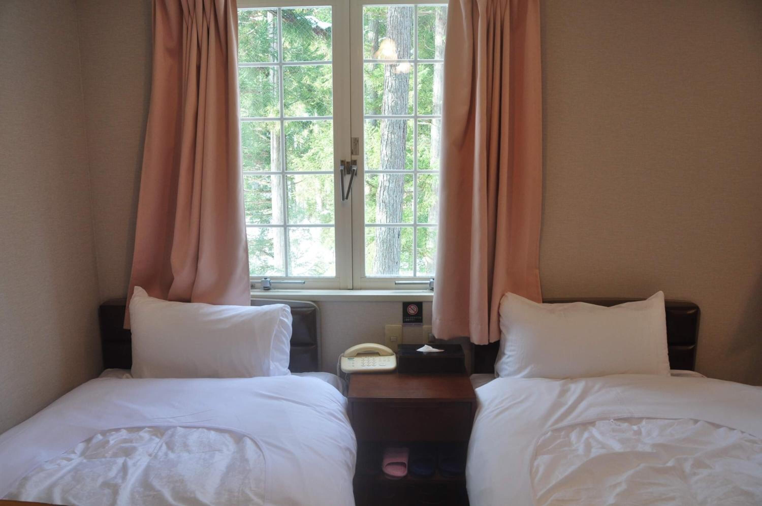 Hakuba Sunvalley Hotel 3*